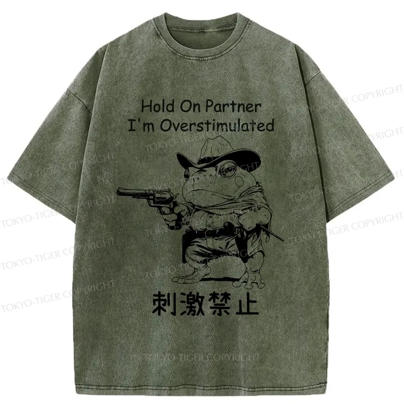 Tokyo-Tiger Overstimulated Frog Washed T-Shirt