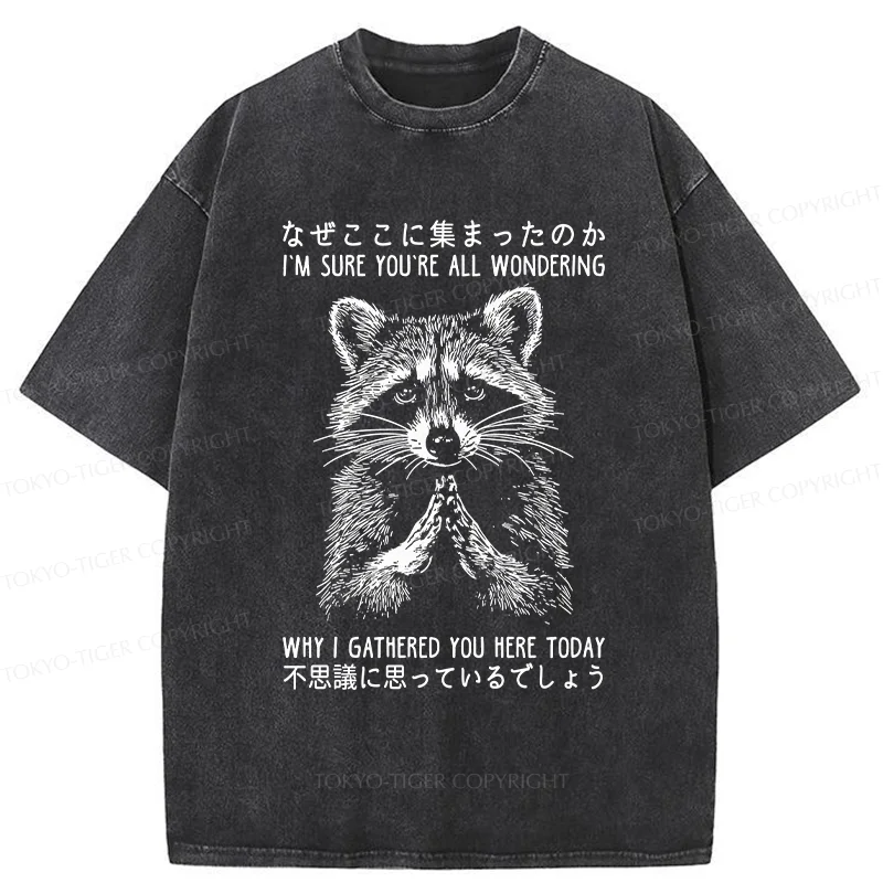 Tokyo-Tiger Something's Going On Raccoon Washed T-Shirt