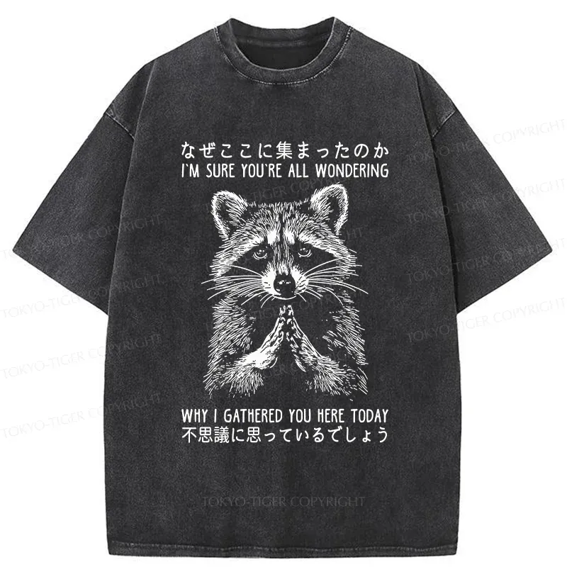 Tokyo-Tiger Something's Going On Raccoon Washed T-Shirt