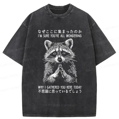 Tokyo-Tiger Something's Going On Raccoon Washed T-Shirt