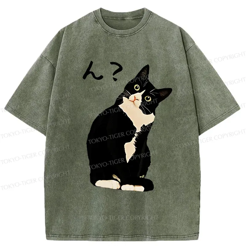 Tokyo-Tiger Suspicious Cat Japan Washed T-Shirt