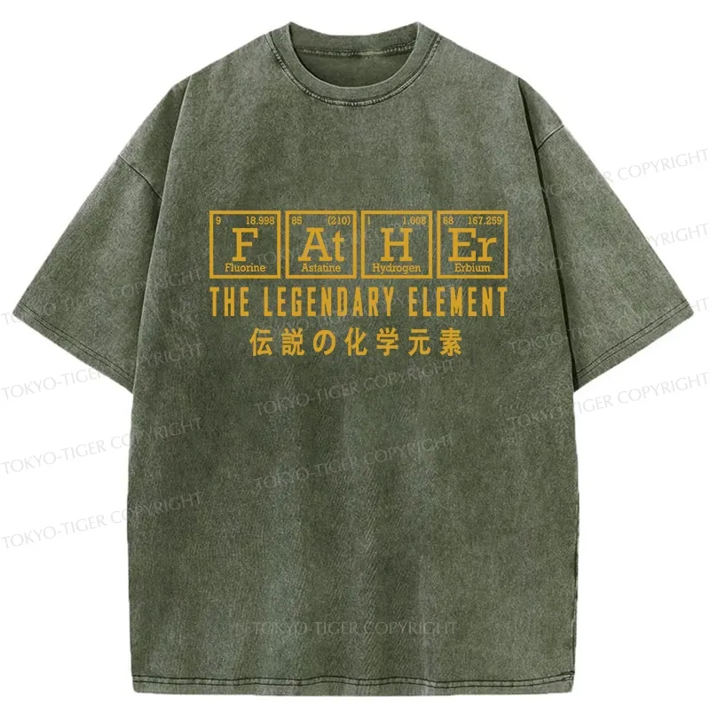 Tokyo-Tiger Funny Father Chemical Element Washed T-Shirt