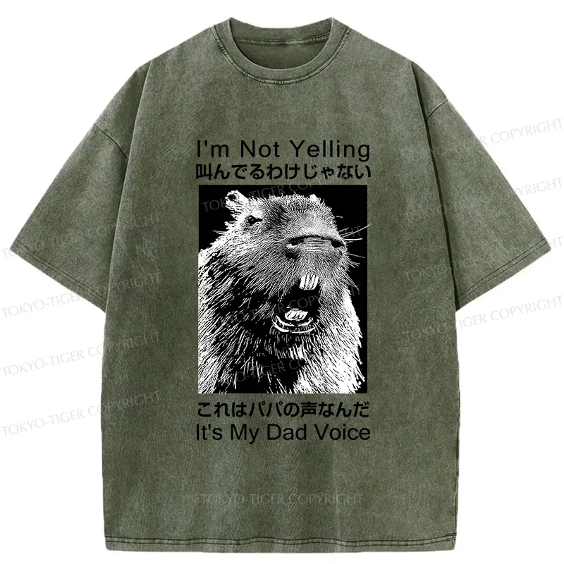Tokyo-Tiger Funny Dad Voice Washed T-Shirt