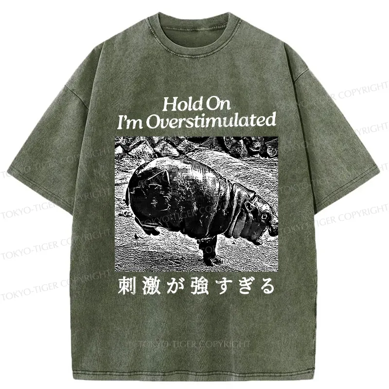 Tokyo-Tiger Overstimulated Moo Deng Washed T-Shirt