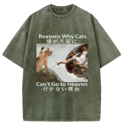 Tokyo-Tiger Naughty Cat Can't Go To Heaven Washed T-Shirt