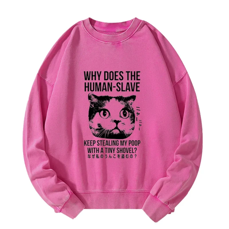 Tokyo-Tiger Cat Thinking About human Washed Sweatshirt