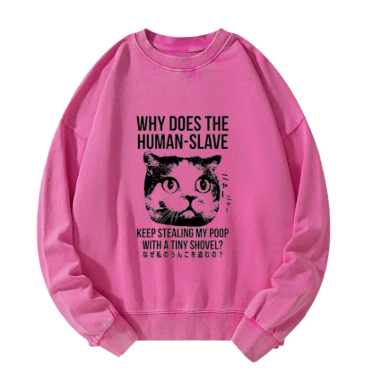 Tokyo-Tiger Cat Thinking About human Washed Sweatshirt