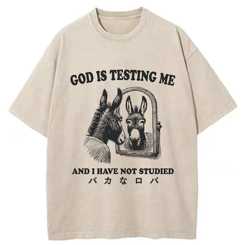 Tokyo-Tiger Studied Donkey Meme Washed T-Shirt