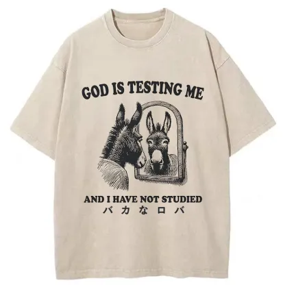 Tokyo-Tiger Studied Donkey Meme Washed T-Shirt
