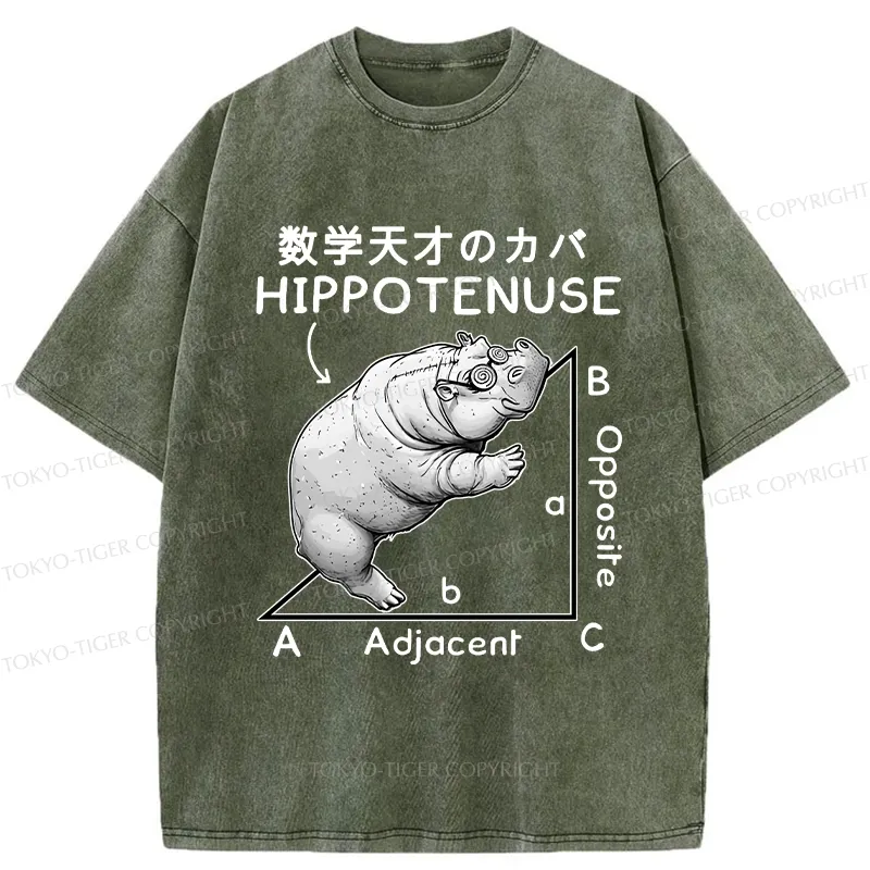 Tokyo-Tiger Mathematical Genius Hippo Washed T-Shirt
