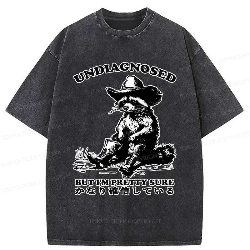 Tokyo-Tiger Confirmed Raccoon Washed T-Shirt