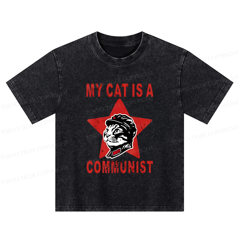 Tokyo-Tiger Funny Cat-ism Kids Washed T-Shirt