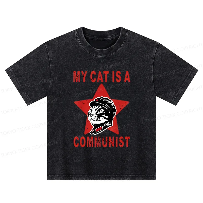 Tokyo-Tiger Funny Cat-ism Kids Washed T-Shirt