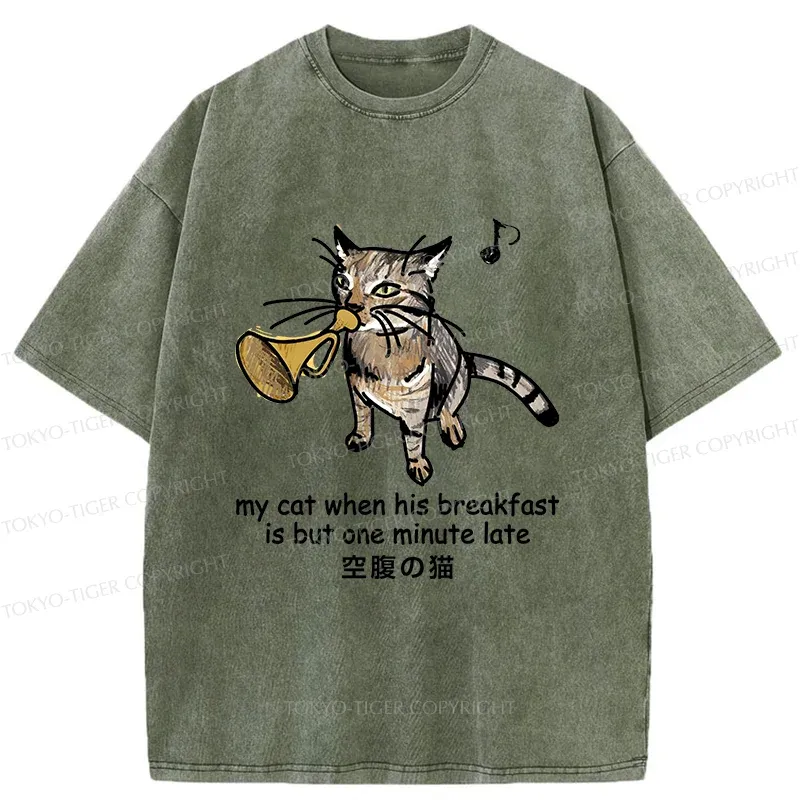 Tokyo-Tiger Cat Blowing Trumpet Washed T-Shirt