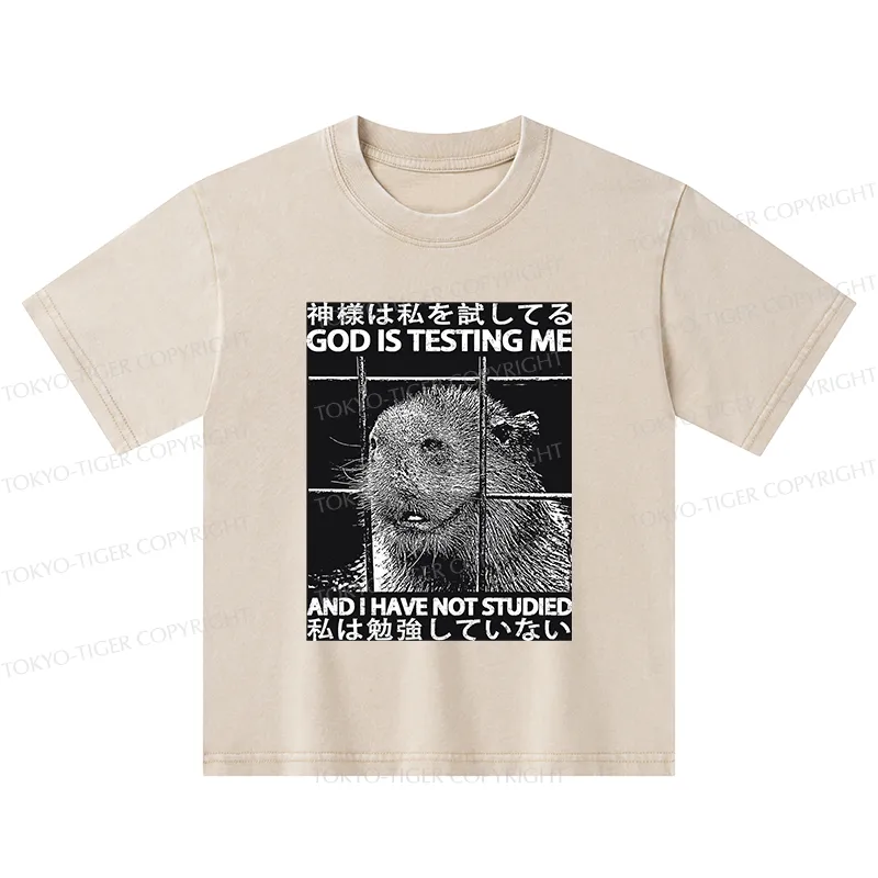 Tokyo-Tiger God Is Testing Me Kids Washed T-Shirt