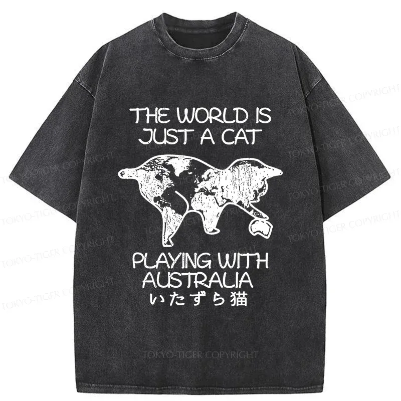 Tokyo-Tiger Funny World With Cat Washed T-Shirt
