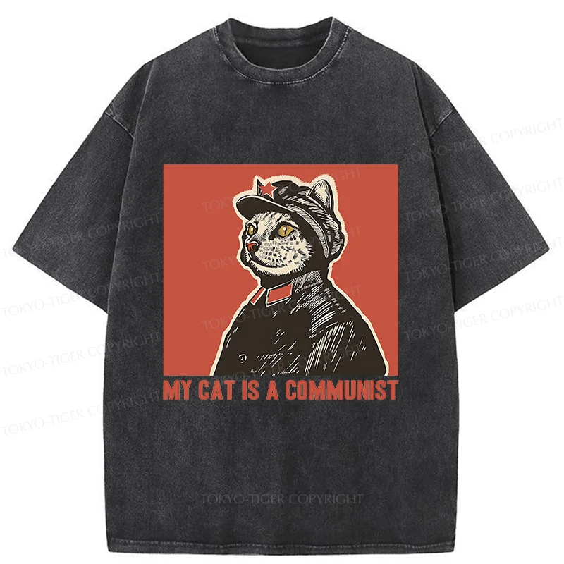 Tokyo-Tiger Catism Funny Washed T-Shirt