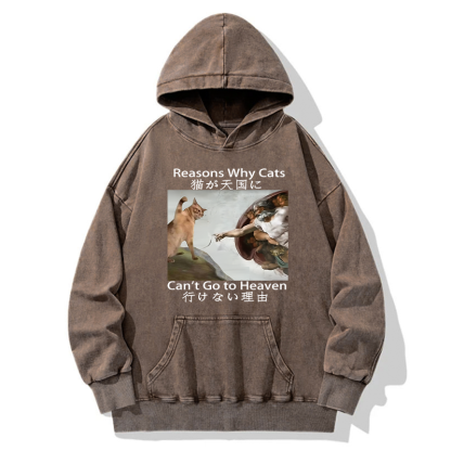 Tokyo-Tiger Naughty Cat Can't Go To Heaven Washed Hoodie