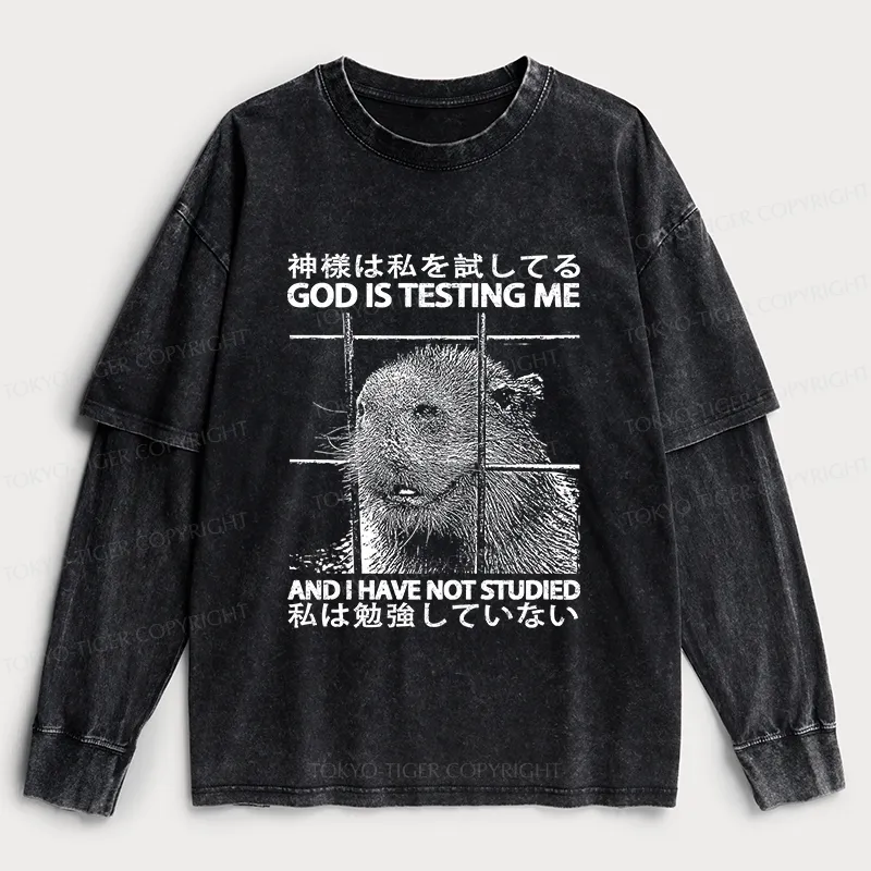 Tokyo-Tiger God Is Testing Me Washed Double Layer T-Shirt