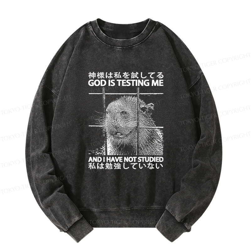 Tokyo-Tiger God Is Testing Me Washed Sweatshirt