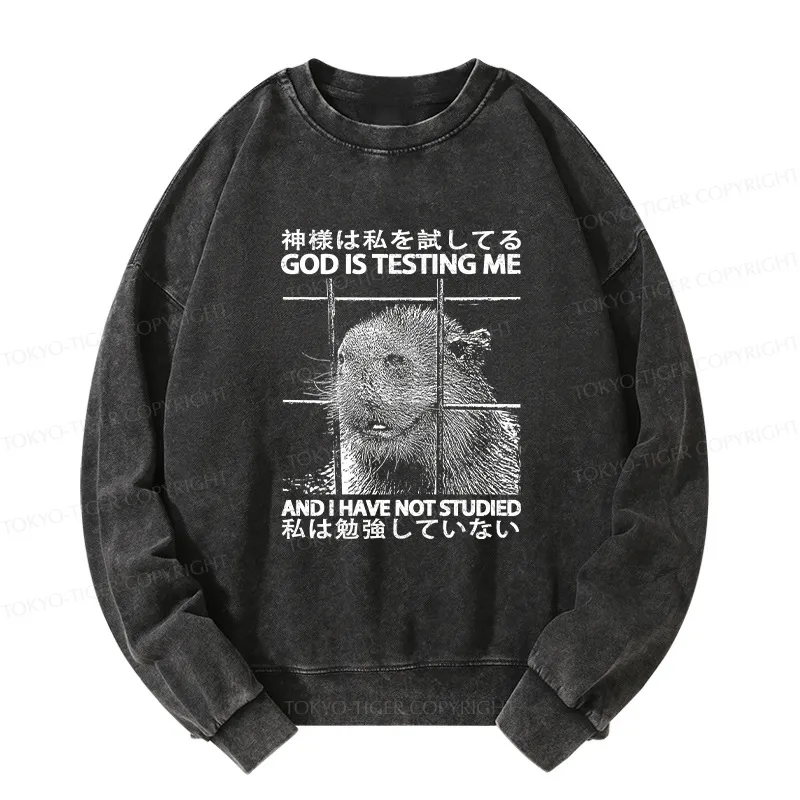 Tokyo-Tiger God Is Testing Me Washed Sweatshirt
