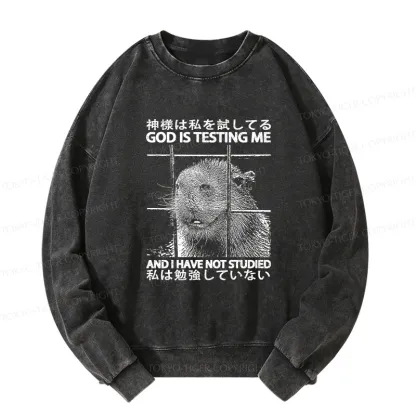 Tokyo-Tiger God Is Testing Me Washed Sweatshirt
