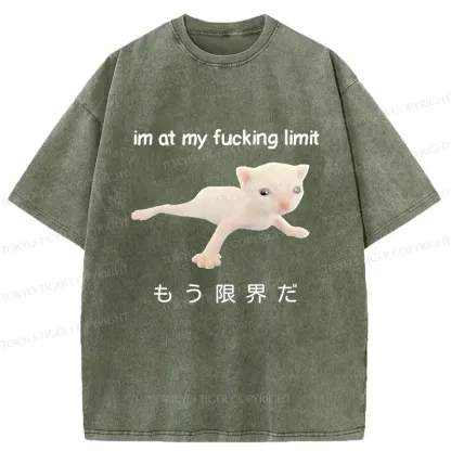 Tokyo-Tiger Cat Reaching Its Limit Washed T-Shirt