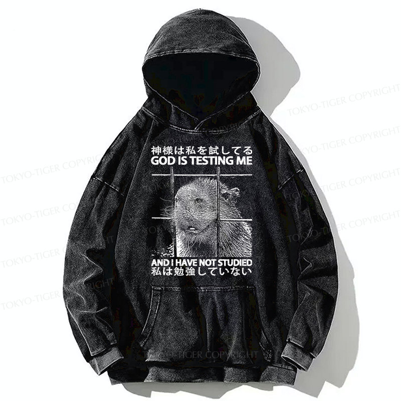 Tokyo-Tiger God Is Testing Me Washed Hoodie