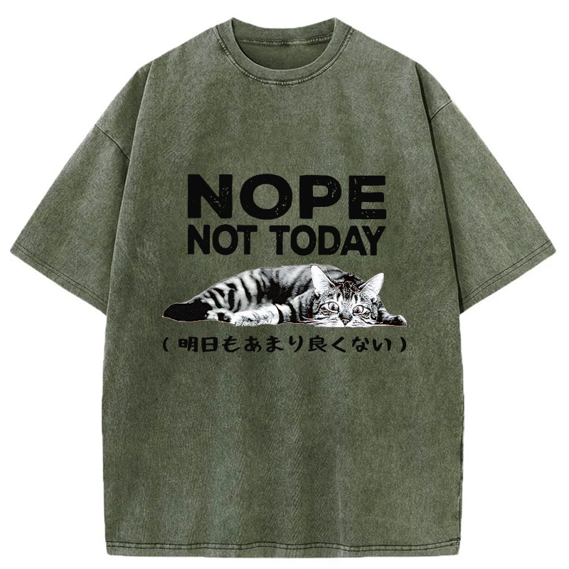 Tokyo-Tiger Every Day Won't Be So Good Washed T-Shirt