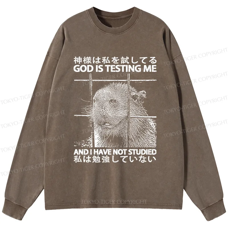 Tokyo-Tiger God Is Testing Me Washed Long Sleeve T-Shirt