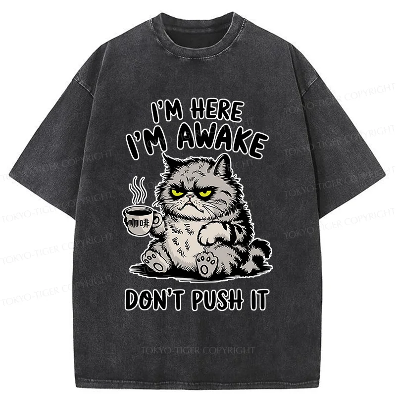 Tokyo-Tiger Tired Cat Washed T-Shirt
