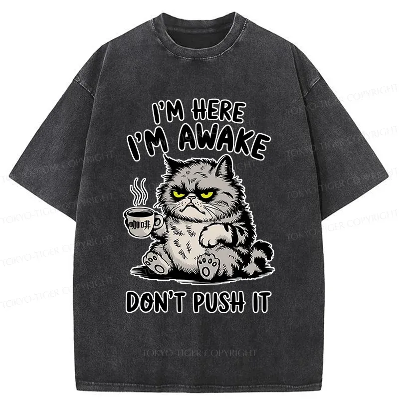 Tokyo-Tiger Tired Cat Washed T-Shirt