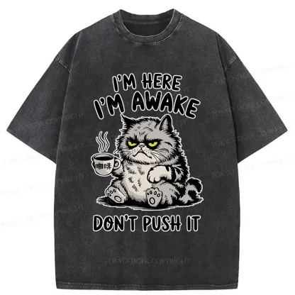 Tokyo-Tiger Tired Cat Washed T-Shirt