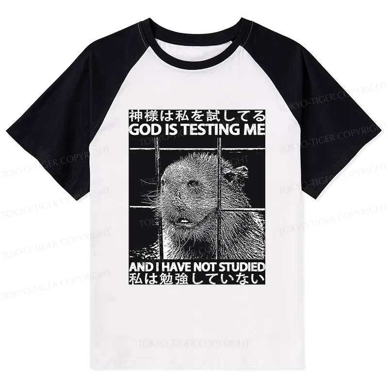 Tokyo-Tiger God Is Testing Me Raglan T-shirt
