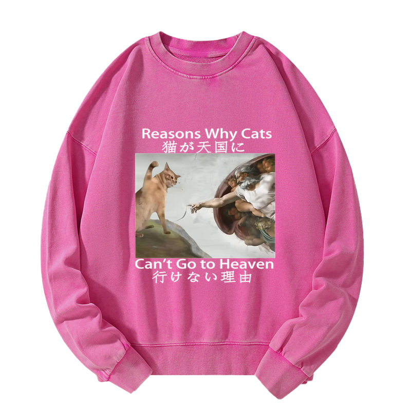 Tokyo-Tiger Naughty Cat Can't Go To Heaven Washed Sweatshirt