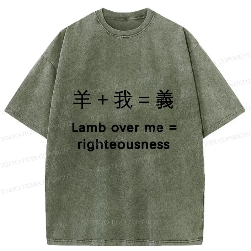 Tokyo-Tiger Constitution Of Justice Washed T-Shirt