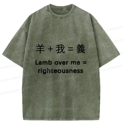 Tokyo-Tiger Constitution Of Justice Washed T-Shirt