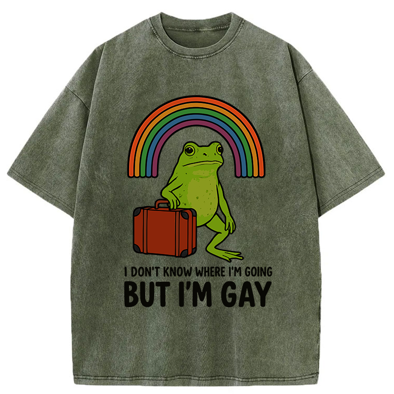 Tokyo-Tiger I Dont Know Frog Washed T-Shirt