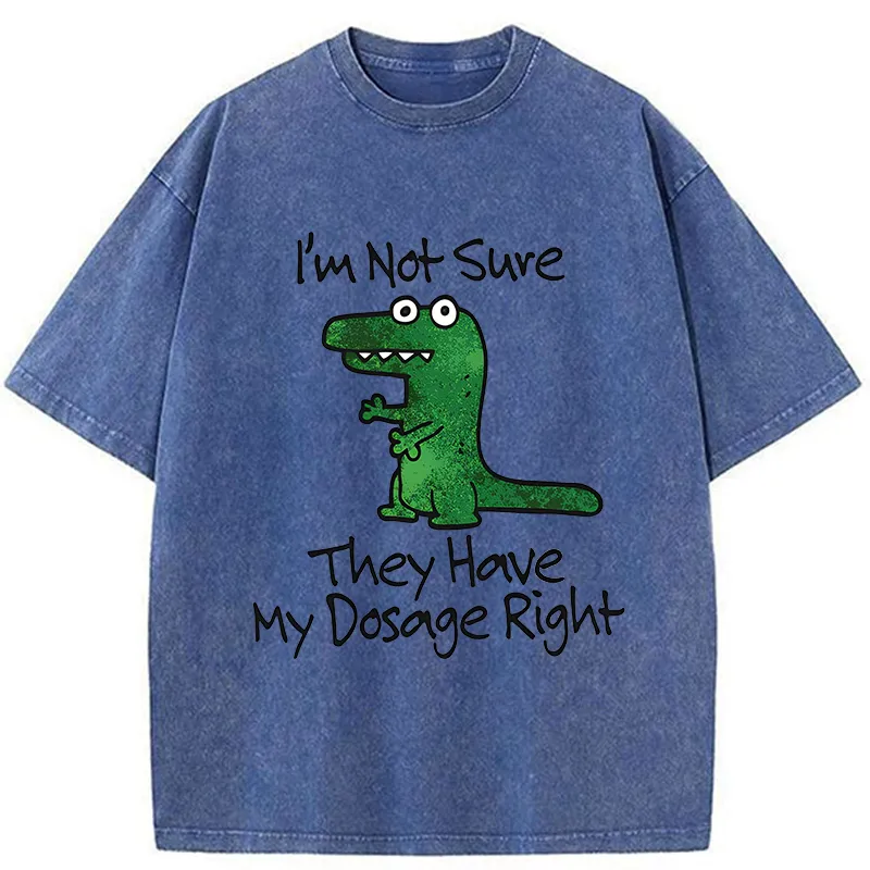 Tokyo-Tiger Dinosaur Meme Sarcastic Ironic Washed T-Shirt