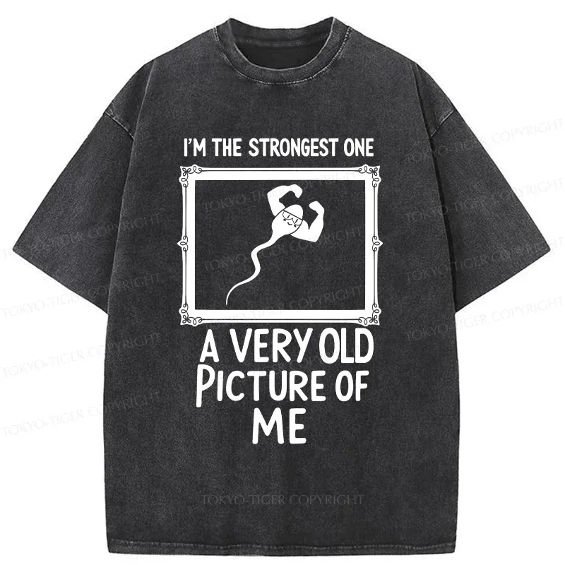 Tokyo-Tiger Old Photos Funny Washed T-Shirt