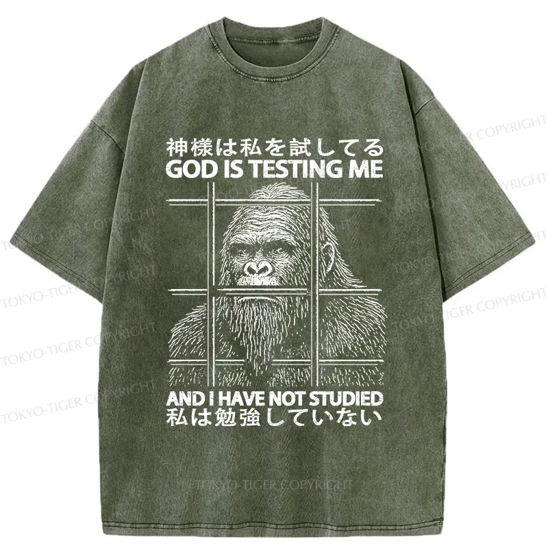 Tokyo-Tiger Funny God Is Testing Me Washed T-Shirt