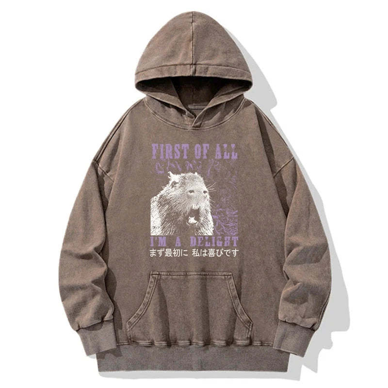 Tokyo-Tiger First Of All I'm A Delight Washed Hoodie Sale