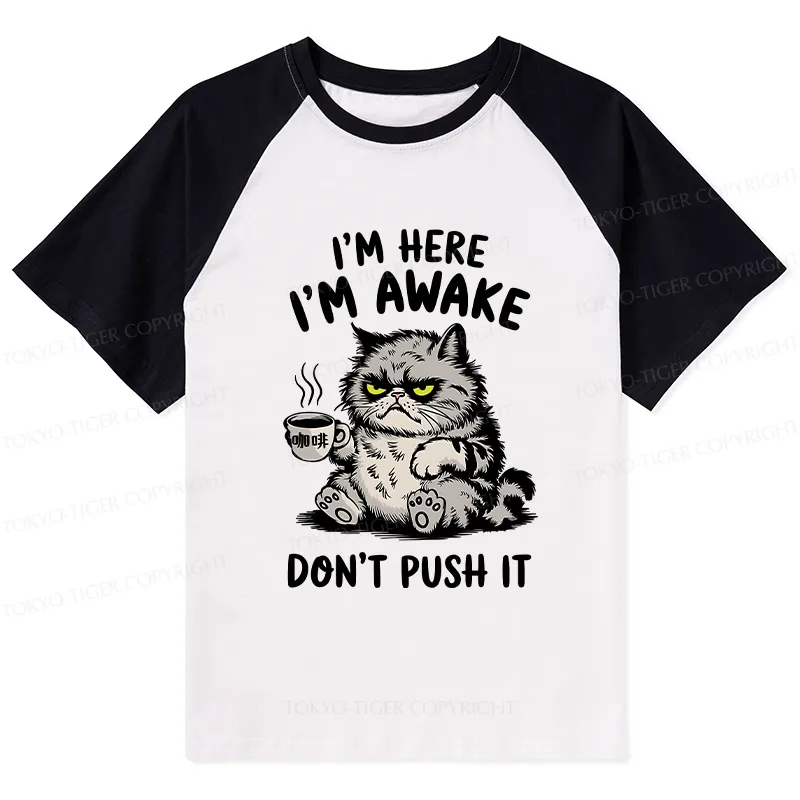 Tokyo-Tiger Tired Cat Raglan T-shirt