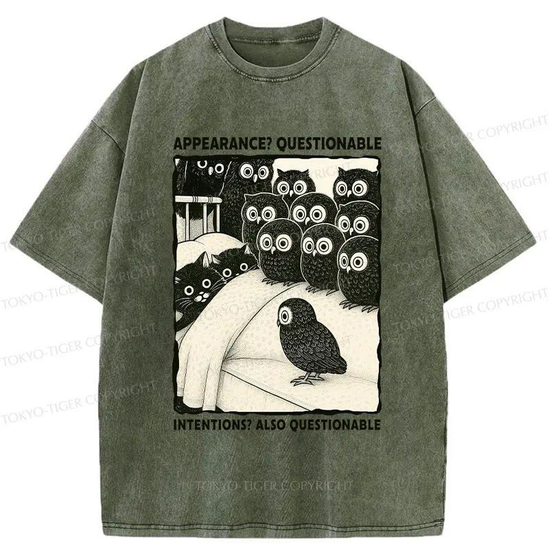 Tokyo-Tiger Appearance And Intentions Questionable Washed T-Shirt