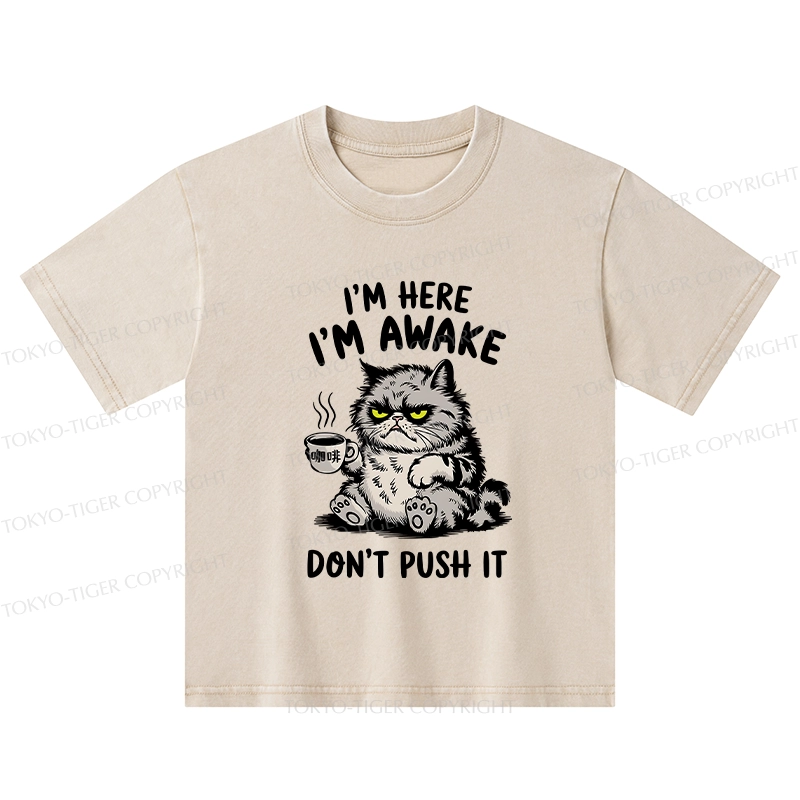 Tokyo-Tiger Tired Cat Kids Washed T-Shirt