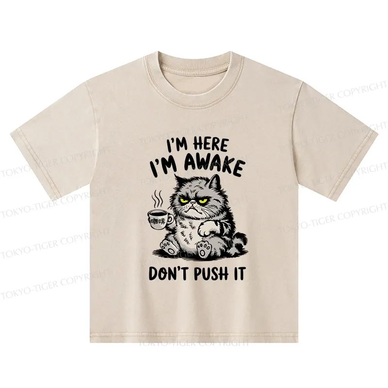 Tokyo-Tiger Tired Cat Kids Washed T-Shirt