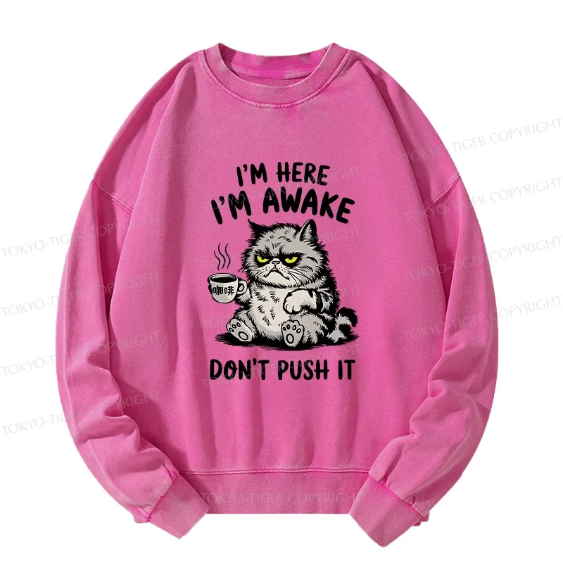 Tokyo-Tiger Tired Cat Washed Sweatshirt