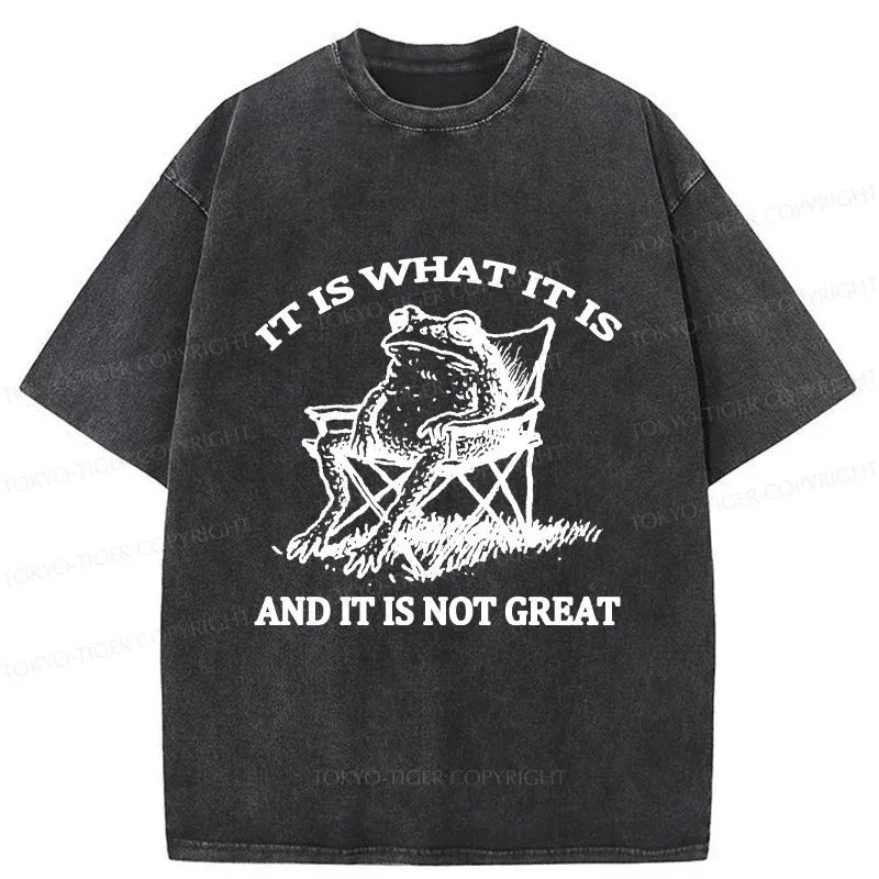 Tokyo-Tiger Resting Frog Funny Washed T-Shirt