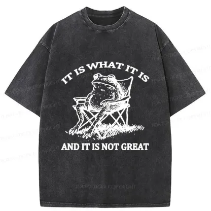 Tokyo-Tiger Resting Frog Funny Washed T-Shirt