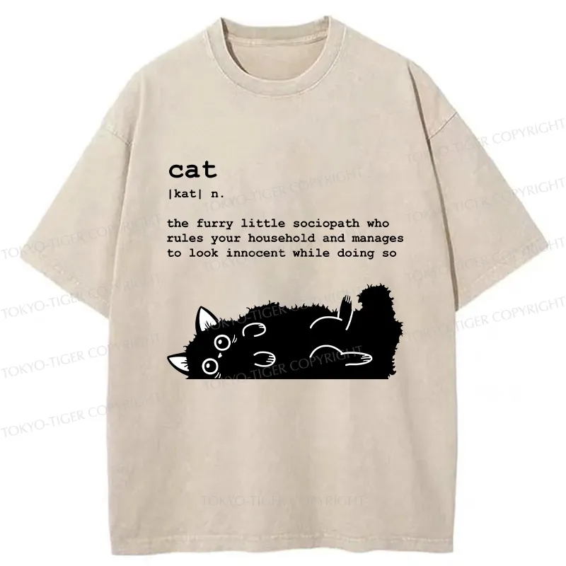 Tokyo-Tiger Definition Of Cat Funny Washed T-Shirt